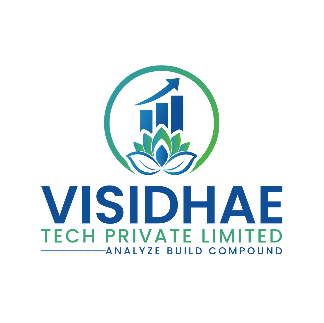 visidhae.tech
