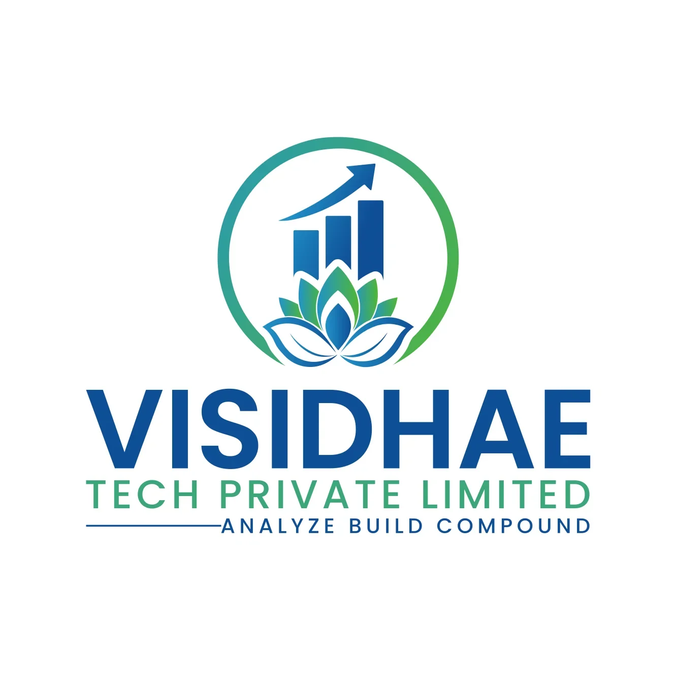 Visidhae Tech Pvt Ltd