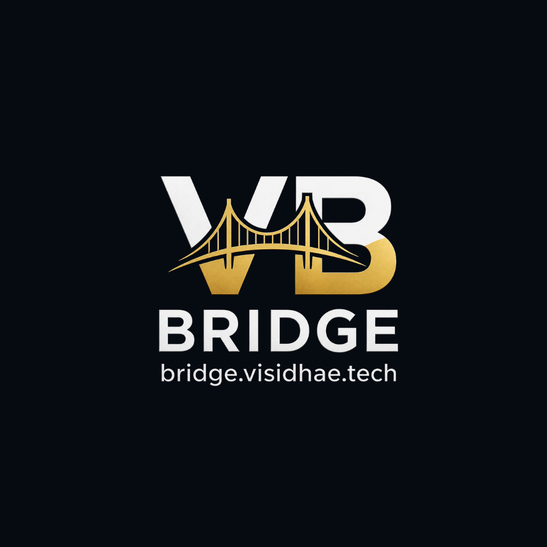 Visidhae Bridge Premium Asset Identity Branding Logo